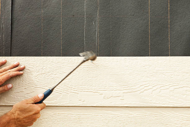 Best Siding Painting and Refinishing  in Shawneetown, IL